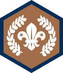 custom-themes-badges-beavers-chief_scout_award_bronze_beaver_2016
