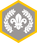 custom-themes-badges-cubs-chief_scout_award_silver_cubs