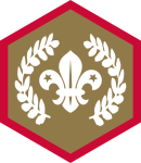 custom-themes-badges-scouts-chief_scout_award_gold_scouts